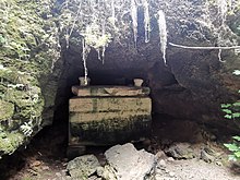 Image of a large stone sarcophagus inside of a cave. Moss and vegetation hang from the ceiling. The lid has two mushroom-like stone protrusions at the edges of the concave sarcophagus lid.