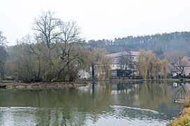 Dorfsee mit Insel