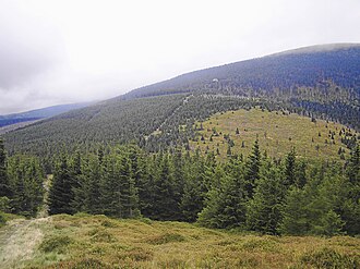 Blick auf den Eulenpass und die Schwarze Koppe von Osten