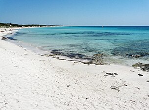 La plage de Porto Prosciutto