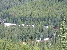 Spruce forests in British Columbia Spiraltunnelxx.jpg