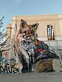 Fox (Lis), Lisbon (2018)
