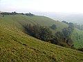 Lynchets on Coombe Hill, Stroud