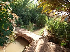 Seguia / Targa, technique traditionnelle d'irrigation par canaux à Imassine.