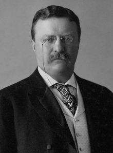 Theodore Roosevelt