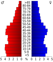 Bevolkingspiramide Clinton County