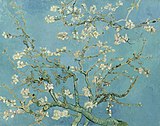 Hoa hạnh nhân (Almond Blossom), 1890. Bảo tàng Van Gogh, Amsterdam