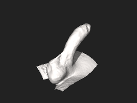 3D model