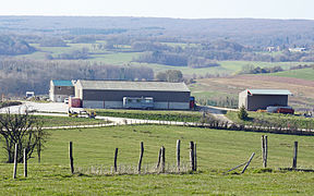 Des hangars agricoles modernes dominant une plaine agricole.