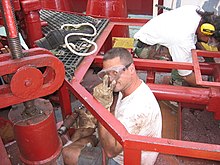 Able seaman using a needlegun scaler on a mooring winch. Able-seaman-scaling-winch.JPG