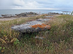 Image illustrative de l’article Allée couverte de la Pointe-de-Guéritte