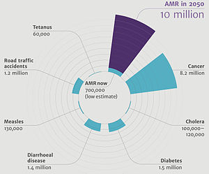 Infographic showing deaths attributable to antimicrobial resistance