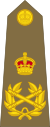 Британская армия (1920-1953) OF-10.svg