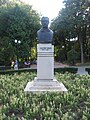 Bust in Iași