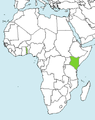 Laestadianizm (kolor zielony) w Afryce w 2007.