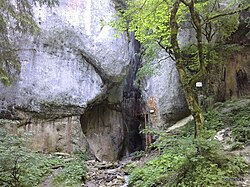 Canionul Sapte Scari (Seven Ladders Canyon) things to do in Holbav