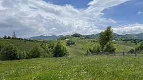 Pajiste din satul Ciocanu (Dâmbovicioara)