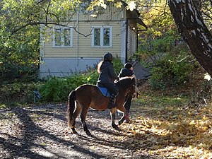 Ponnyridning vid Trädgårdsvillan.