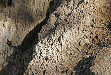Detail of erosion
