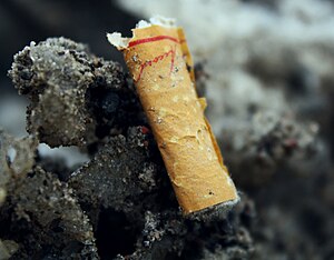 English: A cigarette butt, lying in dirty snow.