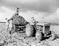 Fordson tractor made at Cork, Ireland Fordson tractor with members of British Women's Land Army 1940s.jpg