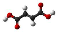 Ball-and-stick model of the fumaric acid molecule