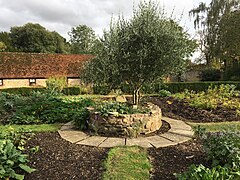Garden2, The Abbey Sutton Courtenay.jpg