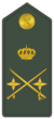 Генеральная гражданская гвардия división.gif