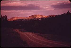 Hills and Forests of the Northern Cheyenne Reservation