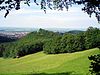 Blick vom Kühnenkopf zum Berg Harburg mit Schloss Wernigerode auf dem Burgberg im Hintergrund