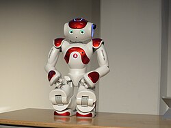 Humanoidalny robot hotelowy "Mario"