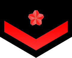 파일:JMSDF Seaman Apprentice insignia (a).svg