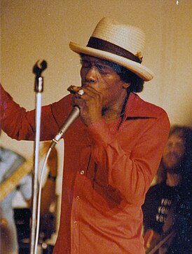 Джуниор Уэллс на концерте в Иллинойсе, 1983