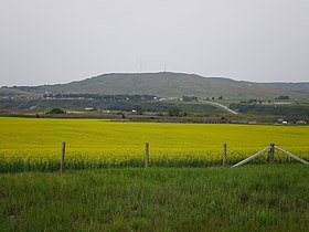 Longview (Alberta)