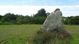 The menhir of Pierre au Sel in Maulévrier