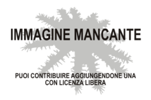 Immagine di Alisometra longipinna mancante