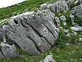 Monte Tombea, masso sito nelle immediate vicinanze della malga di alpeggio con incisa la data 1781, a ricordo della morte di un certo malgaro colpito da un fulmine