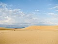 Sand dunes at Myall Lakes National Park