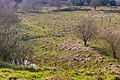 Naturschutzgebiet Sandgrube Seelenfeld