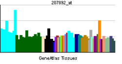 PBB GE CD40LG 207892 at tn.png