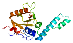 Protein ATXN3 PDB 1yzb.png