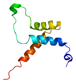 Протеин TEAD3 PDB 2hzd.png