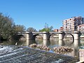 Miniatura para Río Carrión