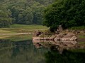 Río Miño ó seu paso por Paradela