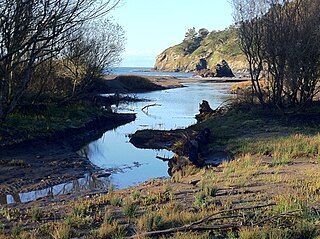 Redwood Creek at Muir Beach Hugh Kuhn WInter 2011.jpg