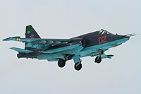 Russian Air Force Sukhoi Su-25 (1).jpg