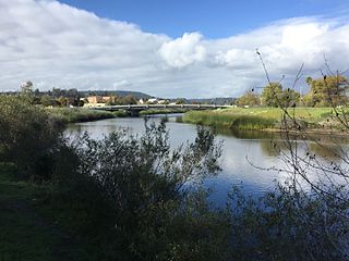 San Lorenzo River 2016.jpg