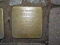 der Stolperstein für Gertrud Narewczewitz