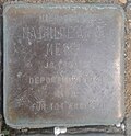 Stolperstein für Mathilde Anna Meyer (Jakordenstraße 17)