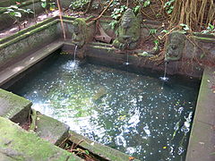 Heiliges Wasser im Affenwald